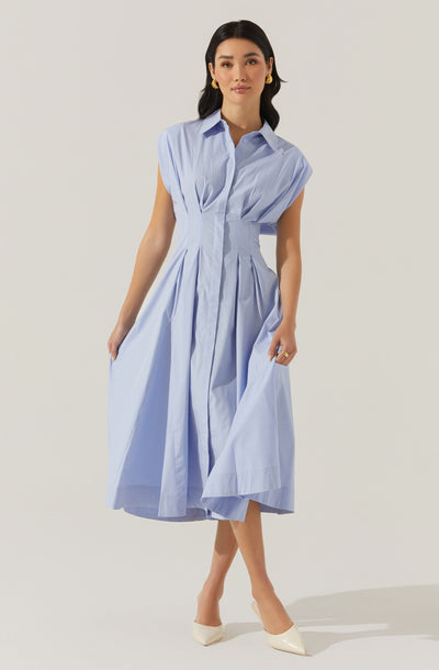 Beckett Tapered Waist Pleated Dress