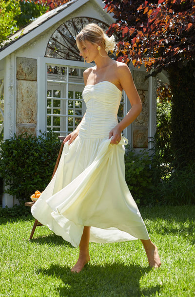 Zori Strapless Maxi Dress